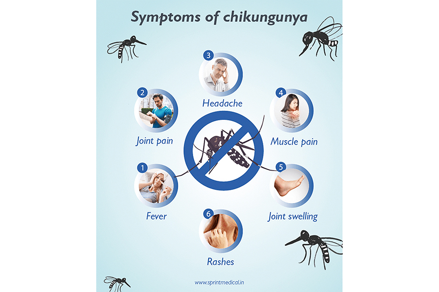 Macau logs this year’s 1st imported chikungunya case