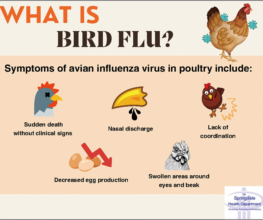 IAM halts poultry imports from avian flu-hit regions