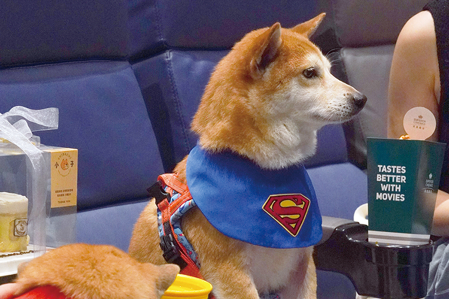 Lisboeta Macau to host dog-friendly screening of ‘The Super Mario Galaxy Movie’