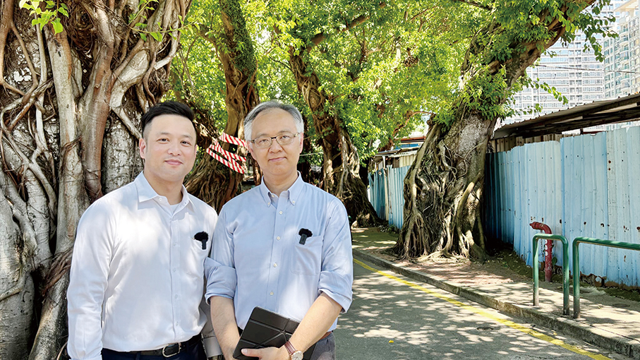 Taipa civic association vows to focus on greenery & flood control